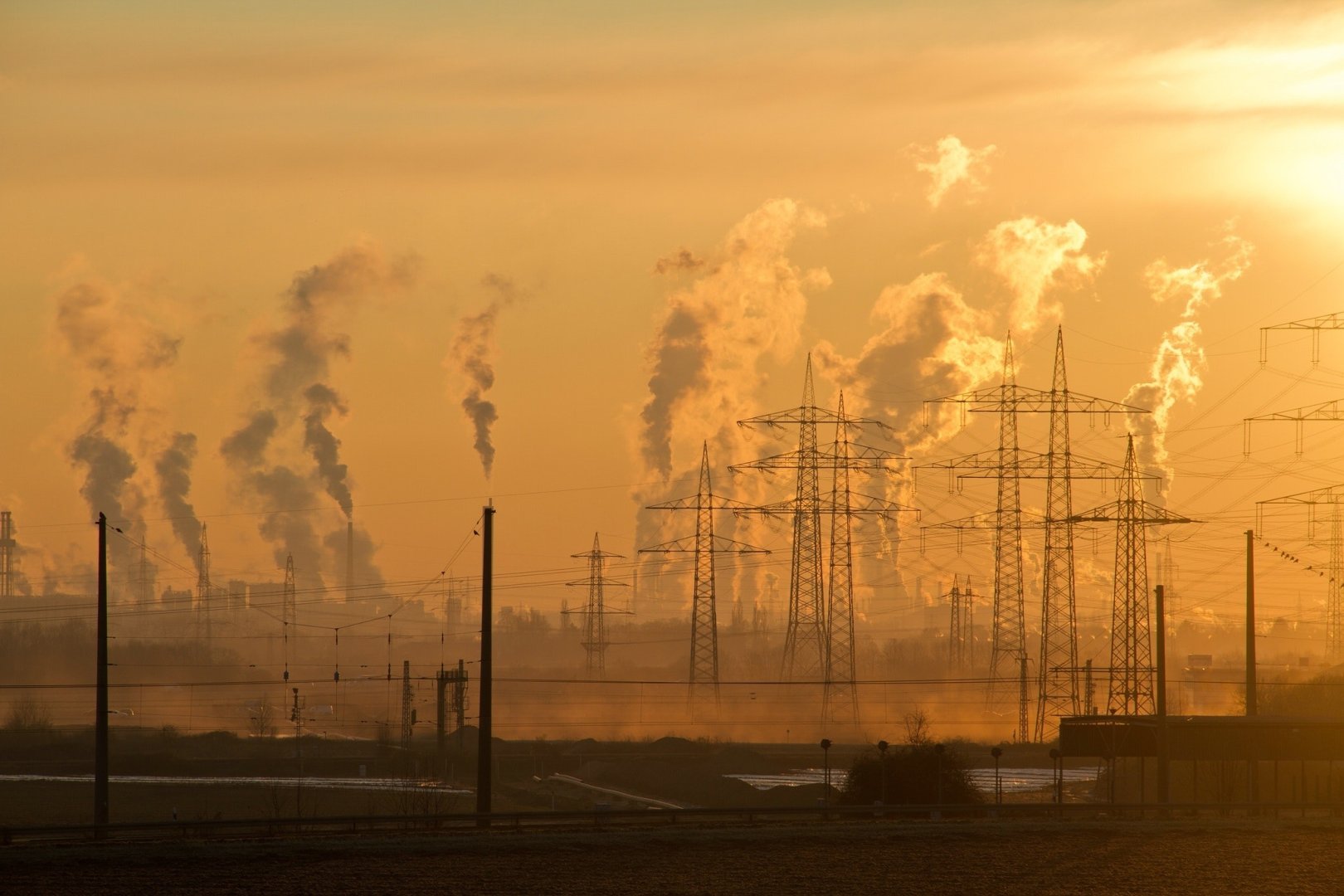 Environmental Courses