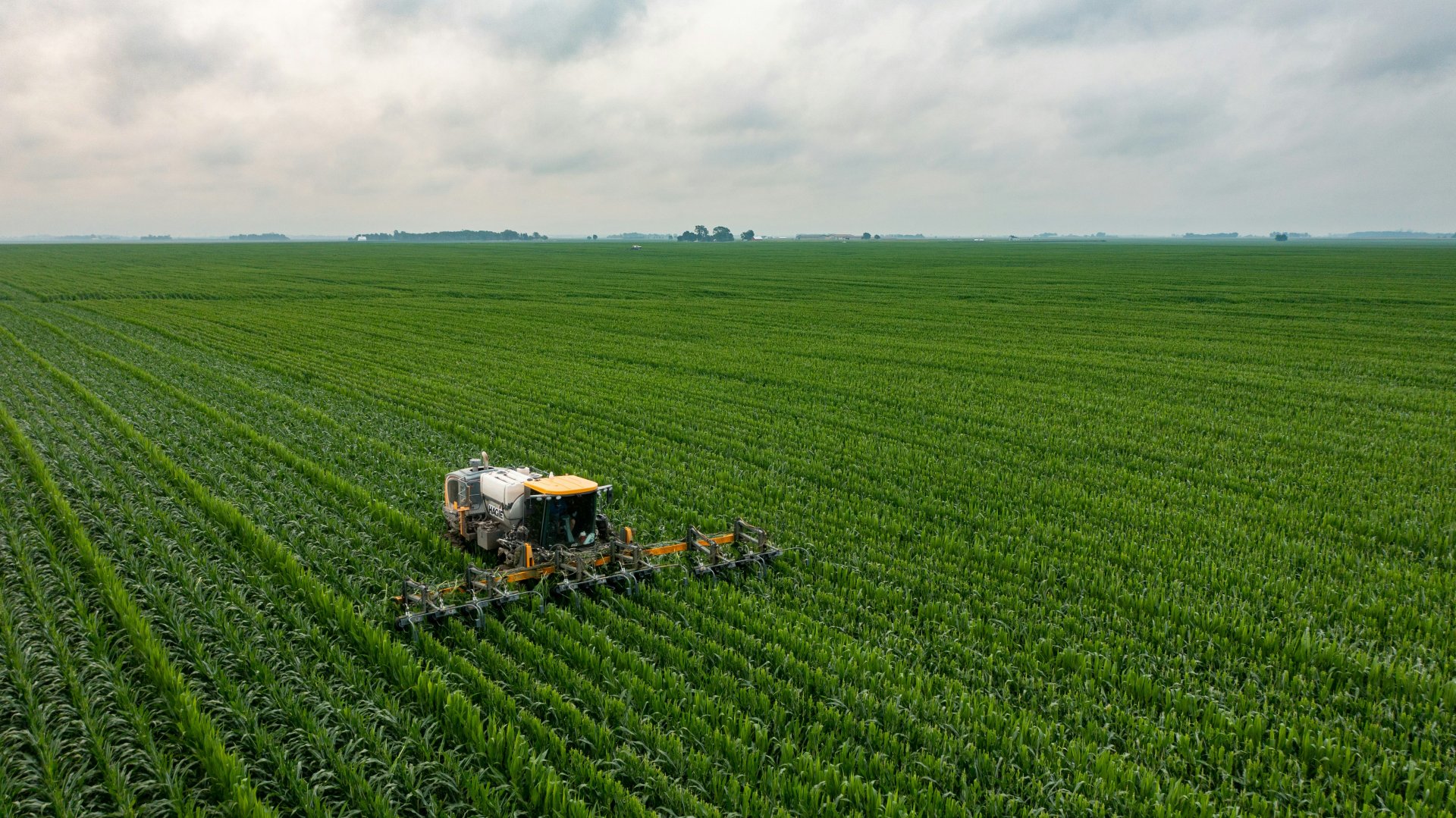 Agriculture, Food & Beverage